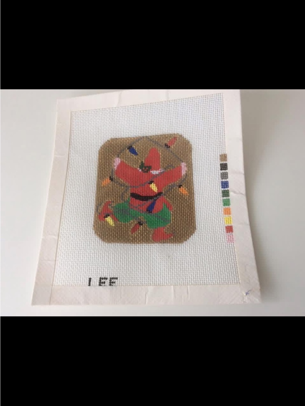 Needlepoint Canvas with Child Holding String Holiday Lights
